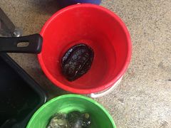 -海上人家The Sea Food Paradise Restaurant & Bar