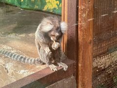 -上海大自然野生昆虫馆(东方明珠·爬宠昆虫探索中心)