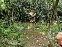 -洪湖悦兮半岛国际温泉度假村