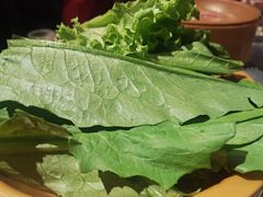 -龍歌自助小火锅(崂山丽达店)