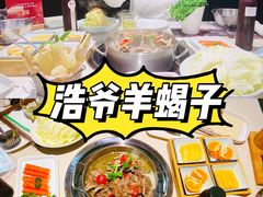 -浩爷羊蝎子火锅(望京店)