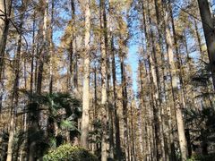 -上海怡沁园度假酒店