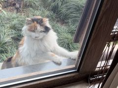 -西安华清御汤酒店