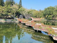 -深圳龙潭公园