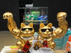 -TOP健身私教工作室(侨香店)