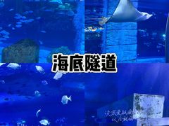 -正佳极地海洋世界