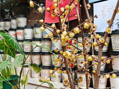-Moses写字咖啡