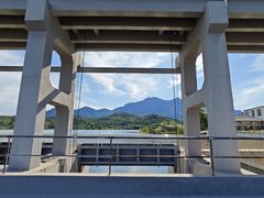 -鲁菜根·泰山菜(泰山店)