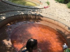 -御景山温泉花园酒店