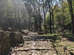 -仙霞关景区