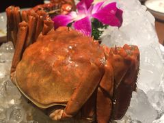 -如轩·海鲜砂锅粥·潮汕菜(海珠店)