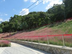 -牛岗山公园