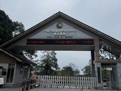 -中国大熊猫保护研究中心雅安碧峰峡基地