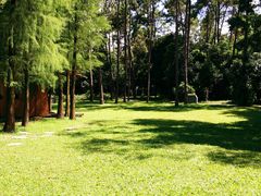 -南宁良凤江国家森林公园