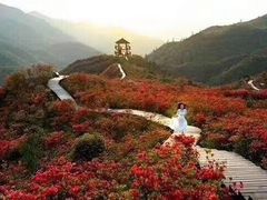 -大围山国家森林公园