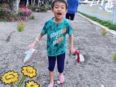 -长洲岛