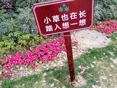 -宫廷糕点铺