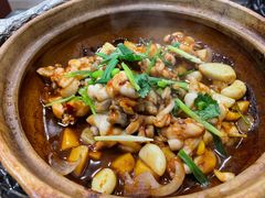 -金龙·打边炉(南京西路店)