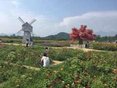 iphone_upload_pic-北京东方普罗旺斯薰衣草庄园