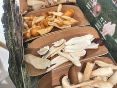 -芸山季·云南山珍菌火锅(南翔印象城MEGA店)