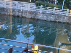 -鞠橘居酒屋(仁恒江湾新天地店)