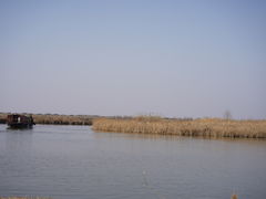 -宁波杭州湾国家湿地公园