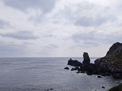 -涉地可支
