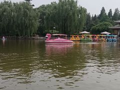 -团结湖公园