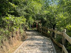 -大岭沟猕猴桃谷风景区