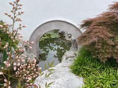 -上海滨江森林公园