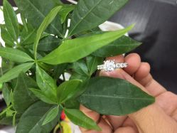 -威德钻石-克拉钻大本营(南京东路店)