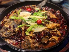 -老板恋上鱼(恒隆广场店)