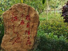 -子昂故里文化旅游区
