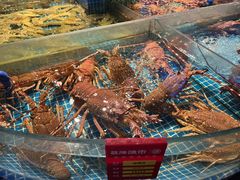 -驻海渔市(置信店)