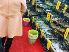 -渔中舟海鲜大排档(普陀沈家门店)