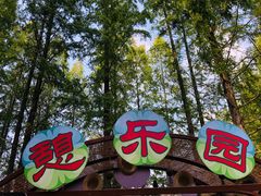 -东平国家森林公园