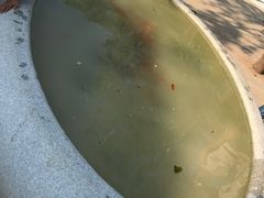 -嘉北郊野公园北游客中心-地上停车场
