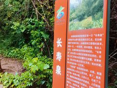 -南国桃园旅游度假区