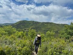 -阳台山自然风景区