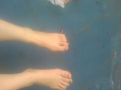 -灵山莲花公园-温泉度假区