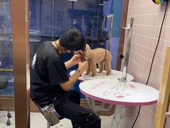 -FAELING PETS美天灵宠物(富力广场店)
