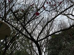 -南翔镇银翔湖公园