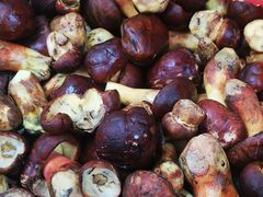 -草墩罗非鱼庄•野生菌•腊排骨(七星街上段店)