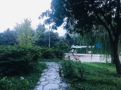 -柳浪游泳场