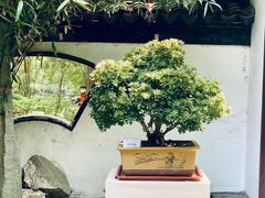 -汇龙潭