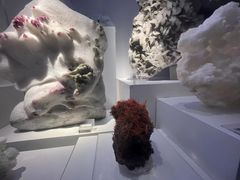 -重庆自然博物馆(新馆)