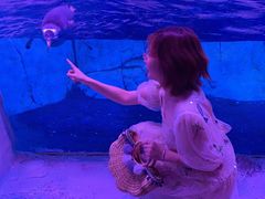 -暹罗海洋世界