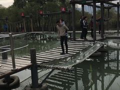 -长兴太湖图影湿地文化园