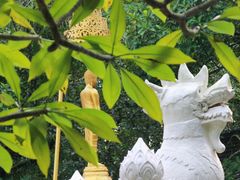 -西双版纳傣族园