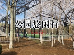 -莫子山公园